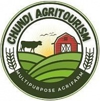 Farm, bananas and fields