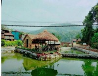 Changing the living standard